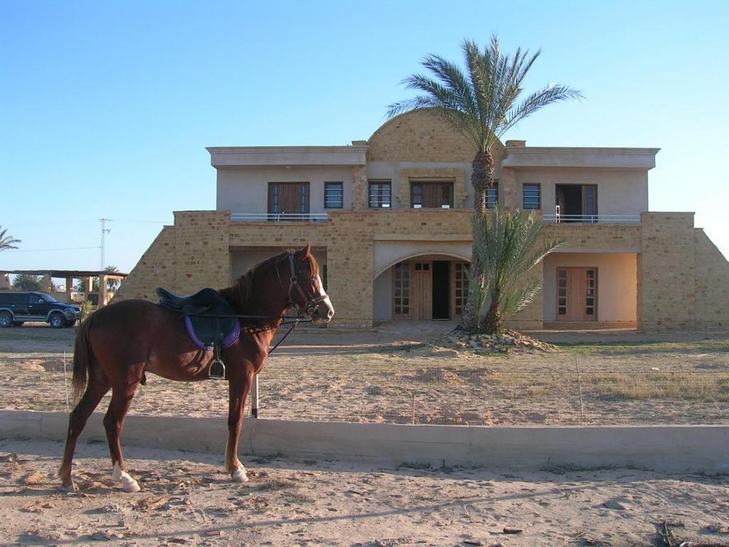 Готель Bella Djerba Хумт-Сук Екстер'єр фото